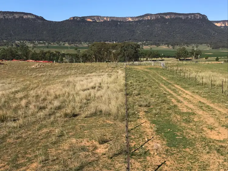 Fourth view of Homely rural property listing, 3022 Glen Alice Rd, Bogee NSW 2849