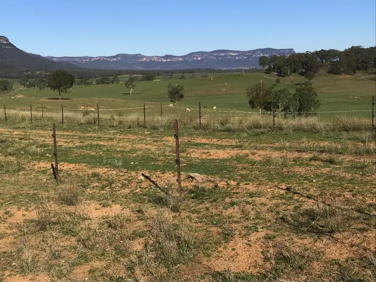 Seventh view of Homely rural property listing, 3022 Glen Alice Rd, Bogee NSW 2849