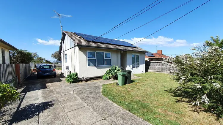 5 Photinia St