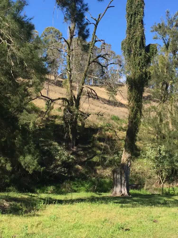 Fourth view of Homely rural property listing, Lot 13 Long Gully Rd, Drake NSW 2469