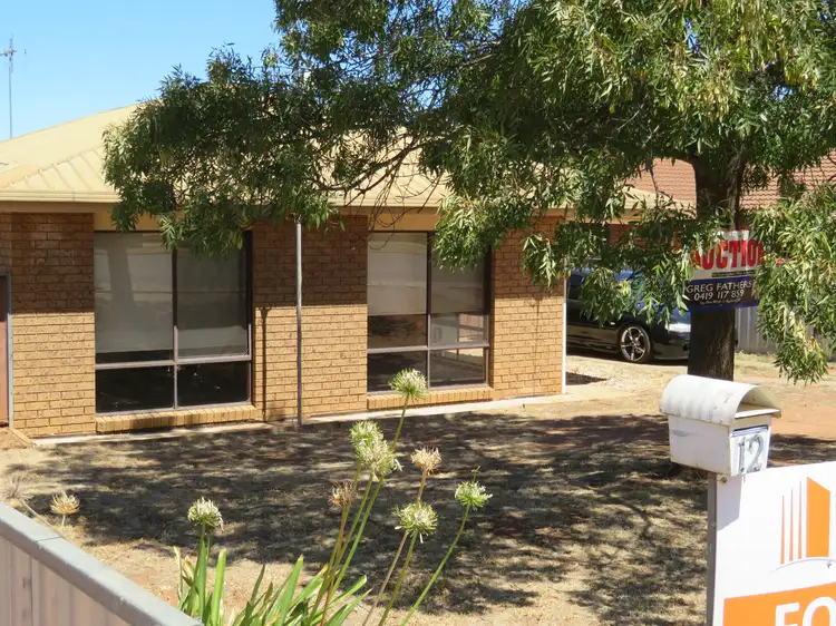 Main view of Homely rural property listing, 12 Grandview St, Wycheproof VIC 3527