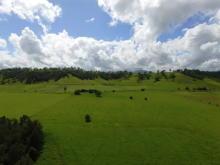 Second view of Homely rural property listing, 283 Ettrick Road, Kyogle NSW 2474