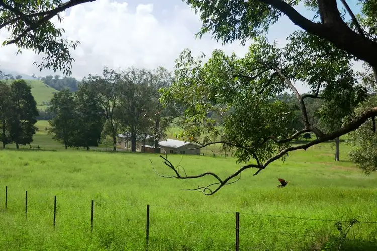 Fourth view of Homely rural property listing, 283 Ettrick Road, Kyogle NSW 2474