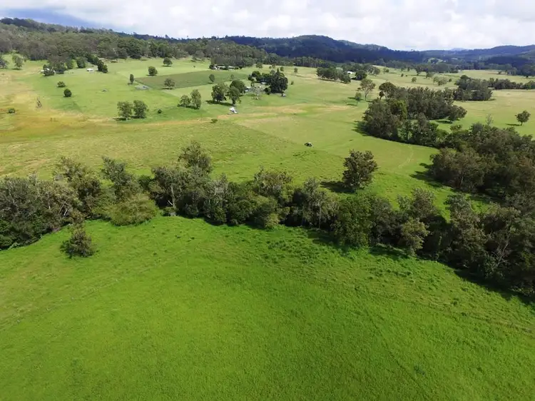 Fifth view of Homely rural property listing, 283 Ettrick Road, Kyogle NSW 2474