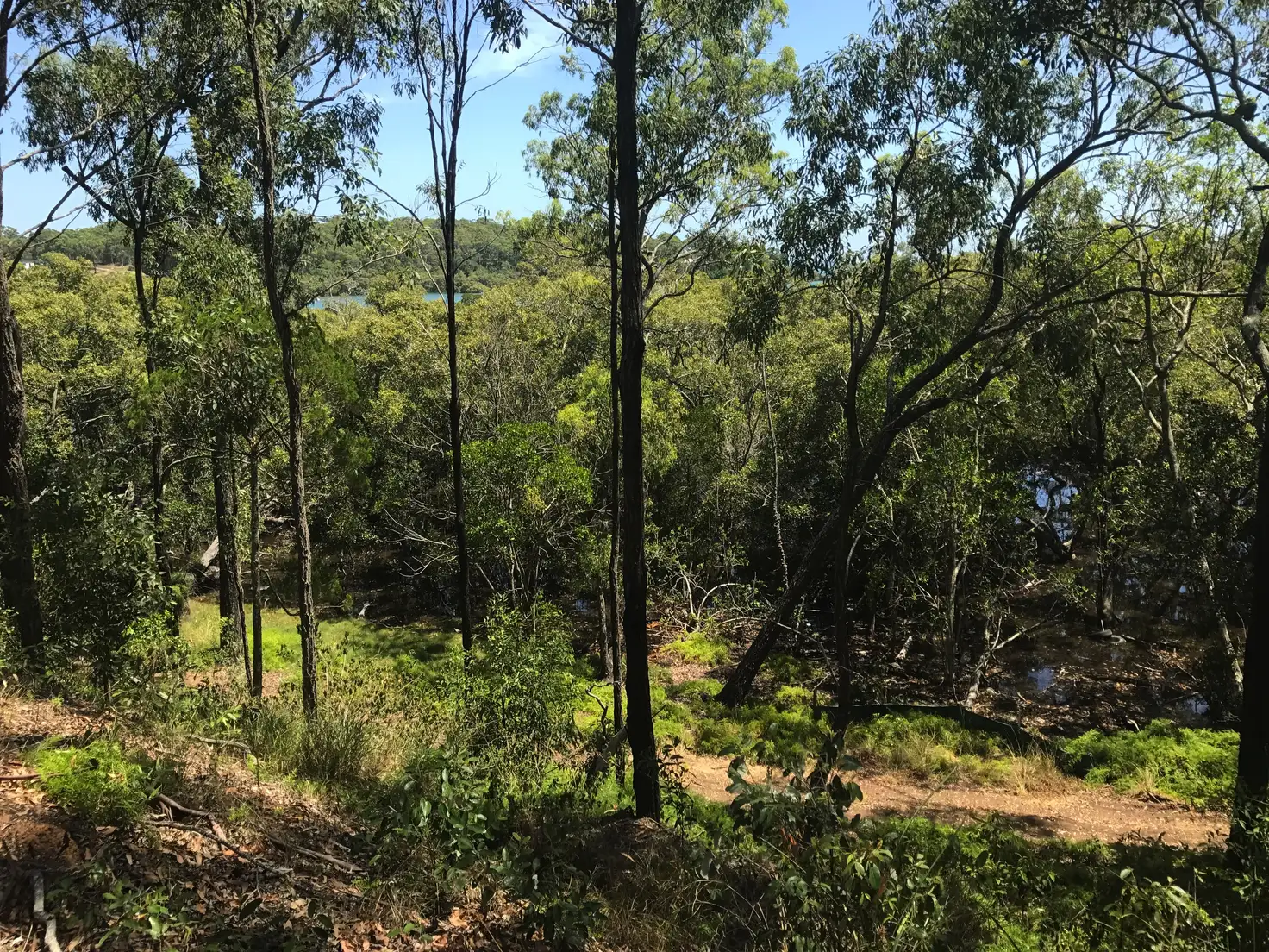 Main view of Homely land listing, 19 Beelong St, Macleay Island QLD 4184