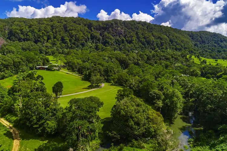 753 Wilsons Creek Rd, Wilsons Creek NSW 2482