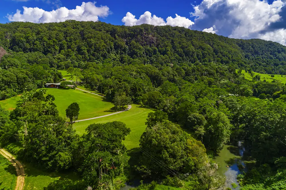 Main view of Homely house listing, 753 Wilsons Creek Rd, Wilsons Creek NSW 2482