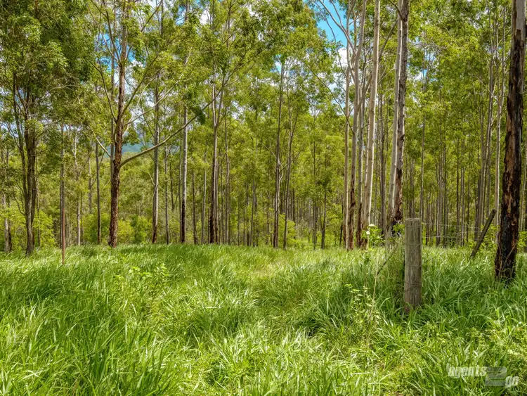 Fourth view of Homely rural property listing, 270 Burgess Road, Calico Creek QLD 4570