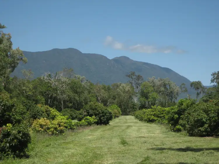 Third view of Homely rural property listing, Lot 3 Lily Creek Road, Ellerbeck QLD 4816