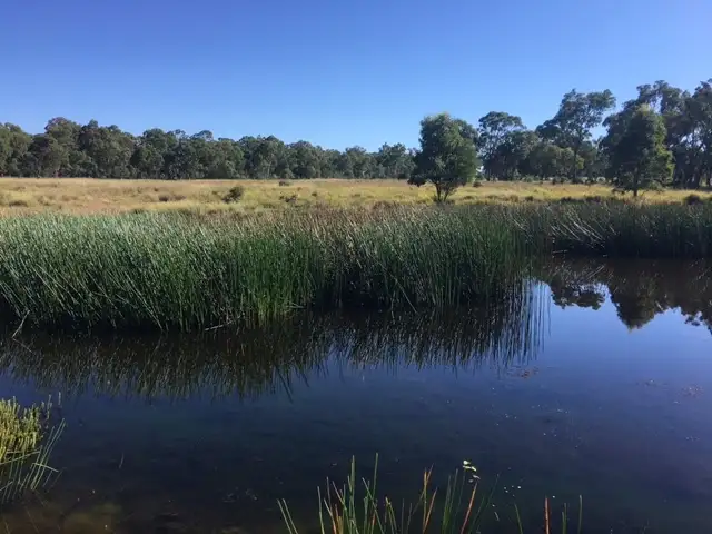Third view of Homely land listing, 180 Maryland Road, Liston NSW 2372