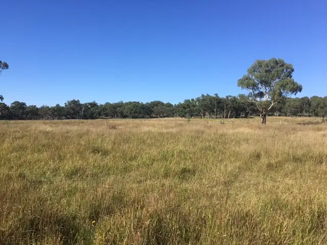 Fifth view of Homely land listing, 180 Maryland Road, Liston NSW 2372