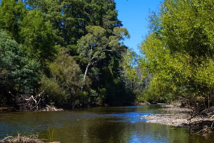 Second view of Homely rural property listing, 136 Hughes Lane, Eurobin VIC 3739