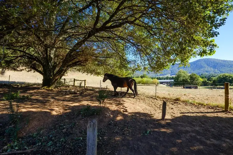 Sixth view of Homely rural property listing, 136 Hughes Lane, Eurobin VIC 3739