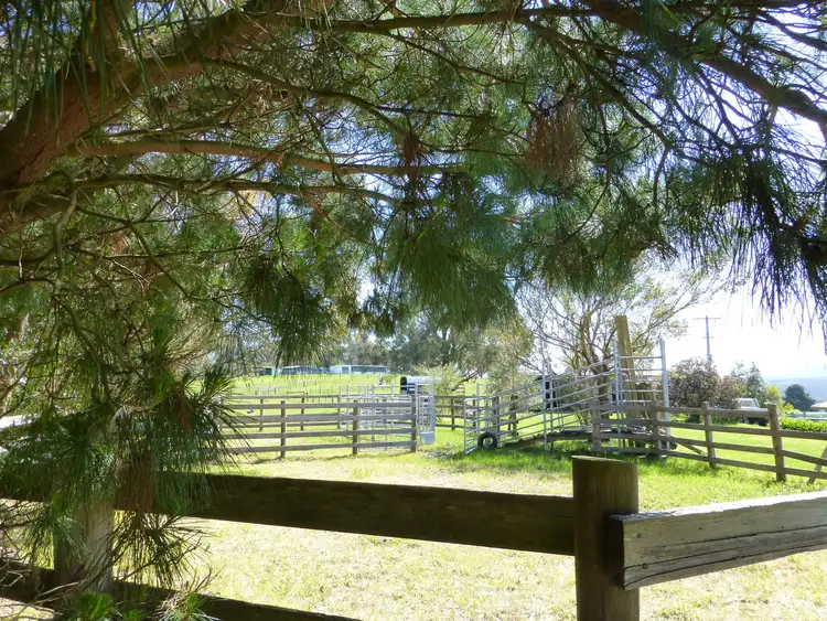 Second view of Homely rural property listing, 919 Moe Rawson Road, Tanjil South VIC 3825