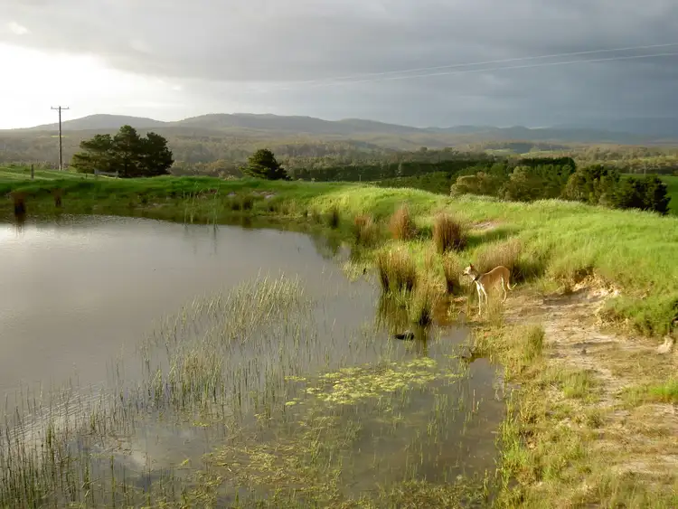 Third view of Homely rural property listing, 919 Moe Rawson Road, Tanjil South VIC 3825