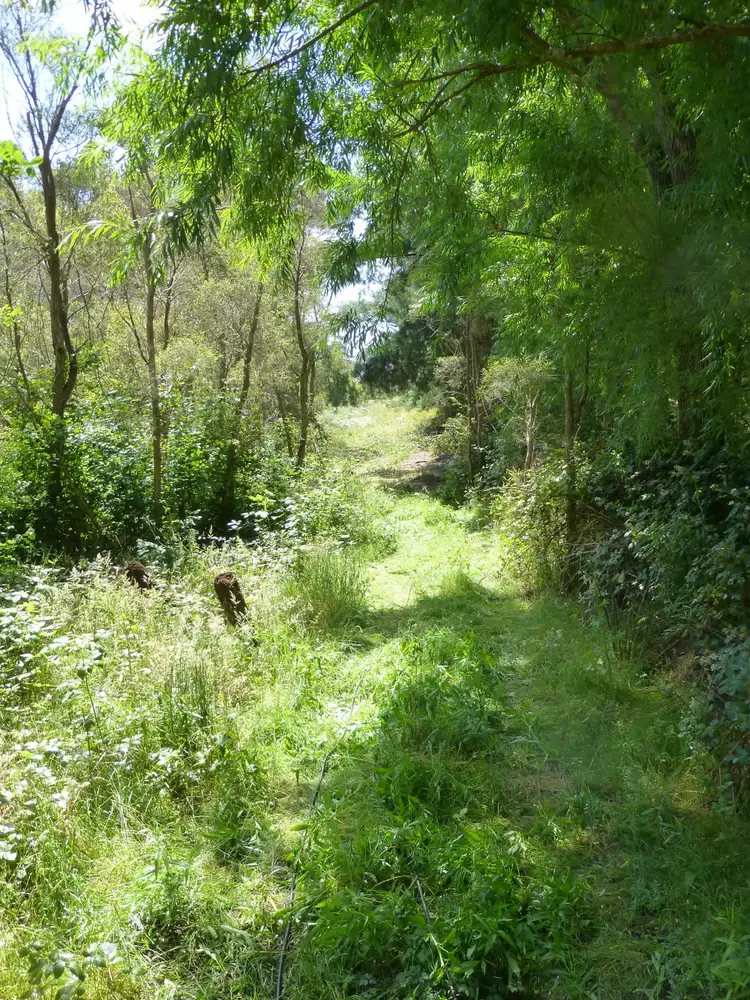 Fourth view of Homely rural property listing, 919 Moe Rawson Road, Tanjil South VIC 3825