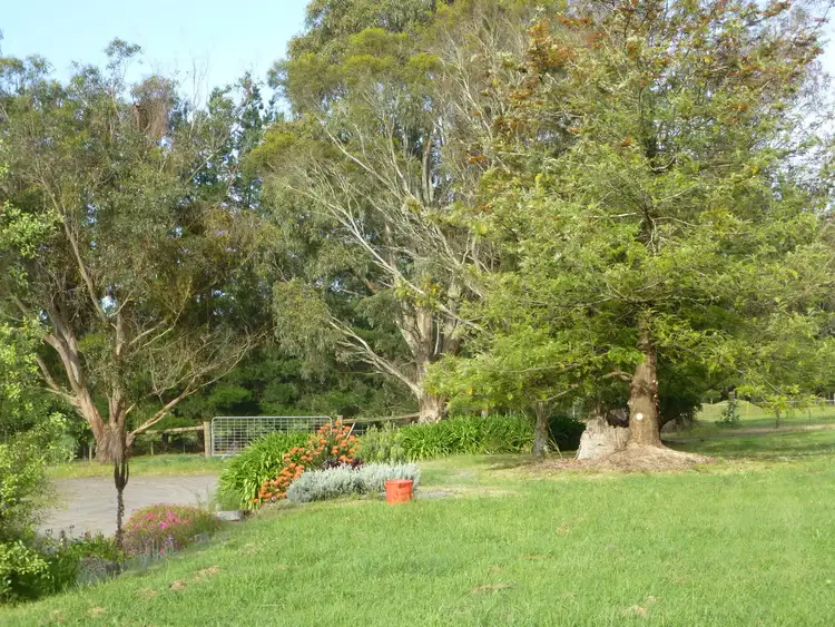 Sixth view of Homely rural property listing, 919 Moe Rawson Road, Tanjil South VIC 3825