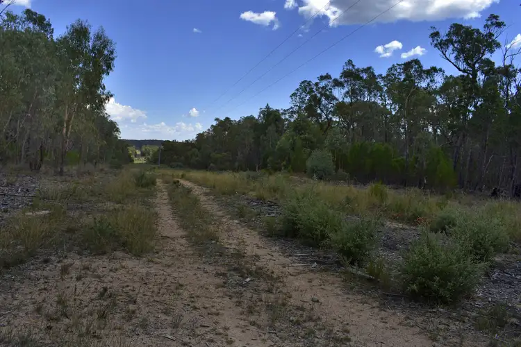 Fourth view of Homely rural property listing, 886 Stannifer Road, Stannifer NSW 2369