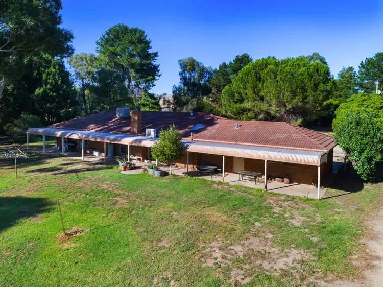 Second view of Homely rural property listing, 709 Indigo Creek Rd, Indigo Valley VIC 3688