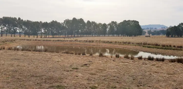 Sixth view of Homely rural property listing, 709 Indigo Creek Rd, Indigo Valley VIC 3688