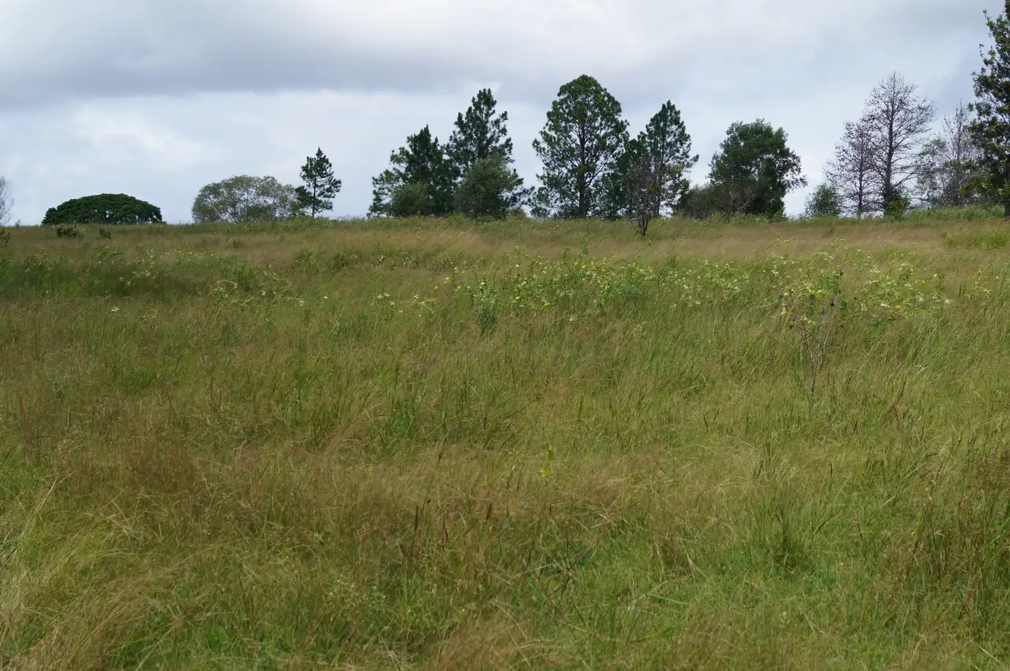 Main view of Homely land listing, 1/Mungar Rd, Mungar QLD 4650