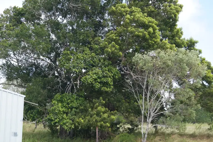 Fifth view of Homely land listing, 1/Mungar Rd, Mungar QLD 4650