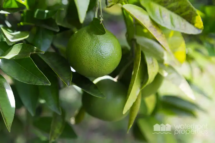 Sixth view of Homely house listing, 11 Duffield Rd, Margate QLD 4019