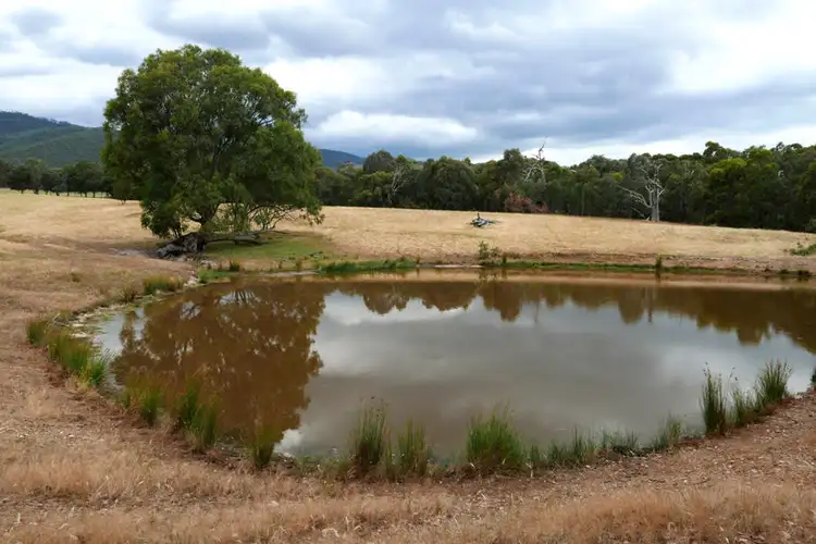 Seventh view of Homely rural property listing, Magnolia - Kleerview Buckland Gap Road, Murmungee VIC 3747