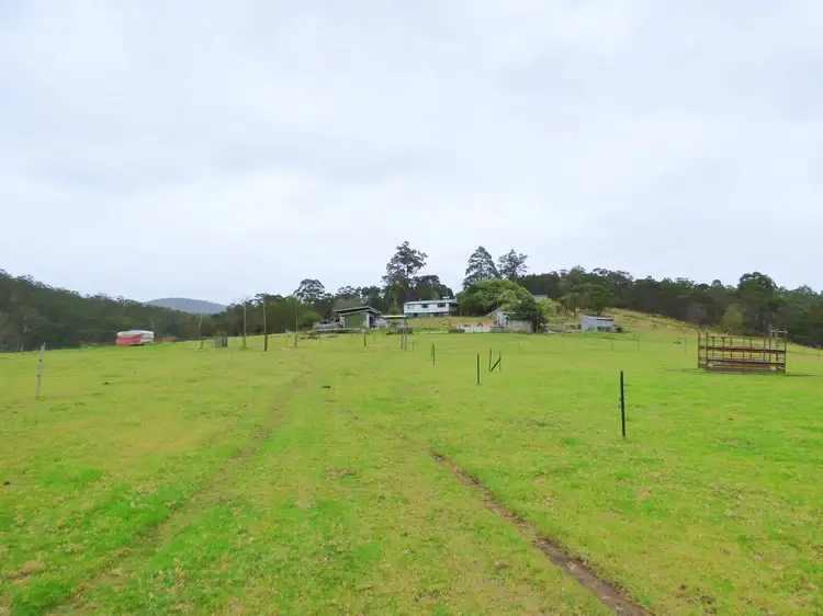 Main view of Homely rural property listing, 1746 The Snake Track, Towamba NSW 2550