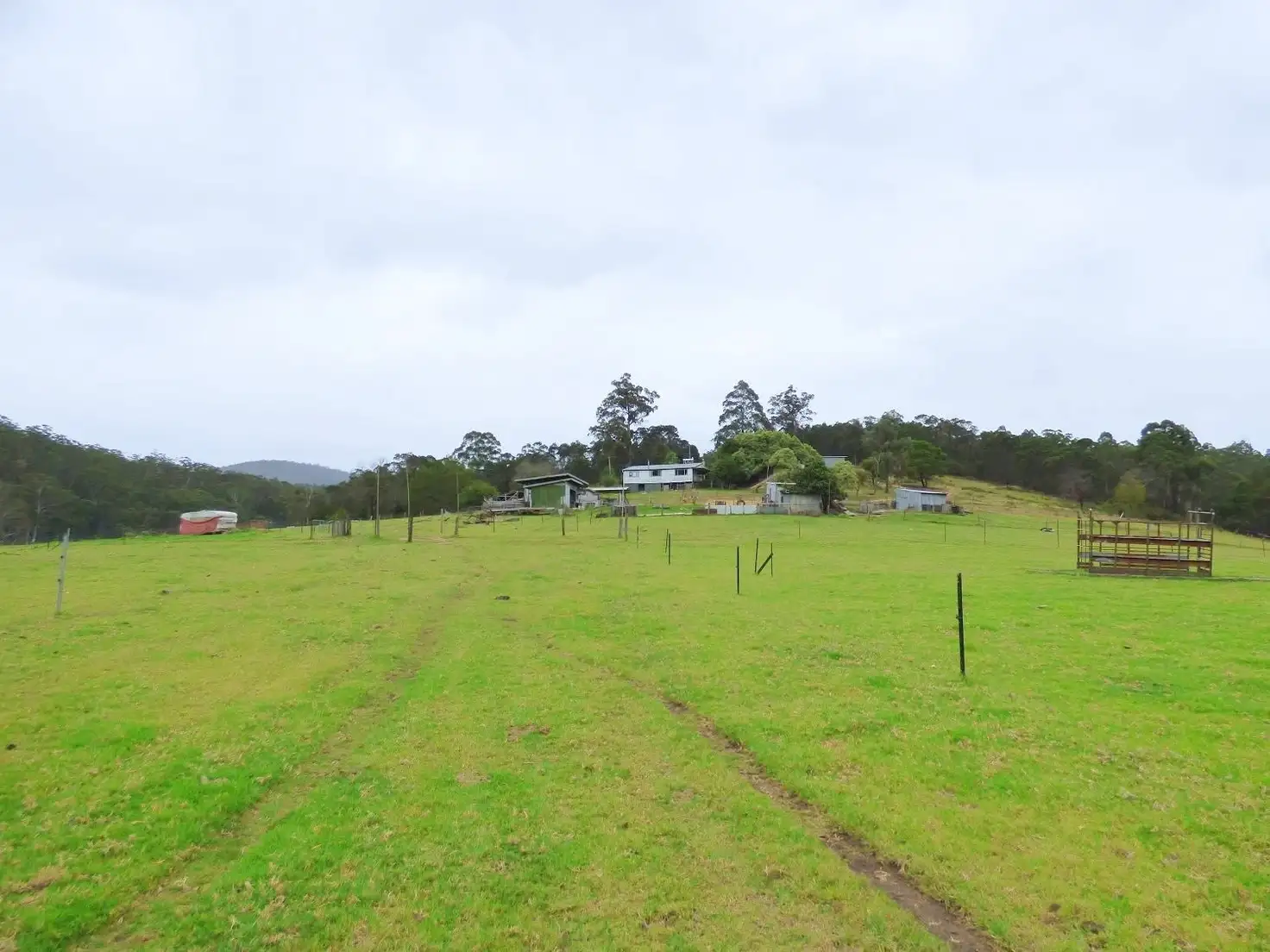 Main view of Homely rural property listing, 1746 The Snake Track, Towamba NSW 2550