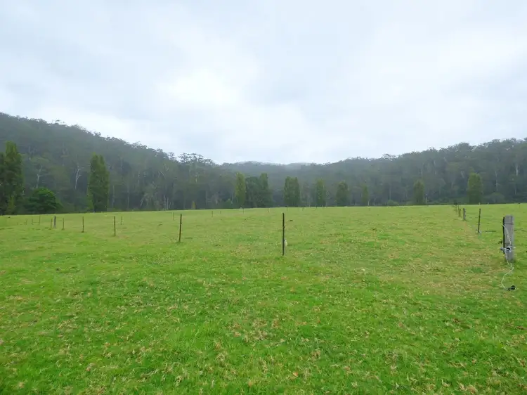 Third view of Homely rural property listing, 1746 The Snake Track, Towamba NSW 2550