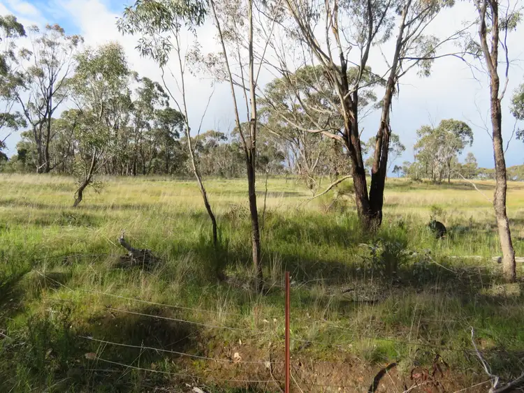 Fourth view of Homely rural property listing, Lot 17 Boort Wedderburn Rd, Wedderburn VIC 3518