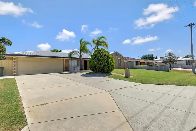 1 Lockeville Close, Beldon WA 6027