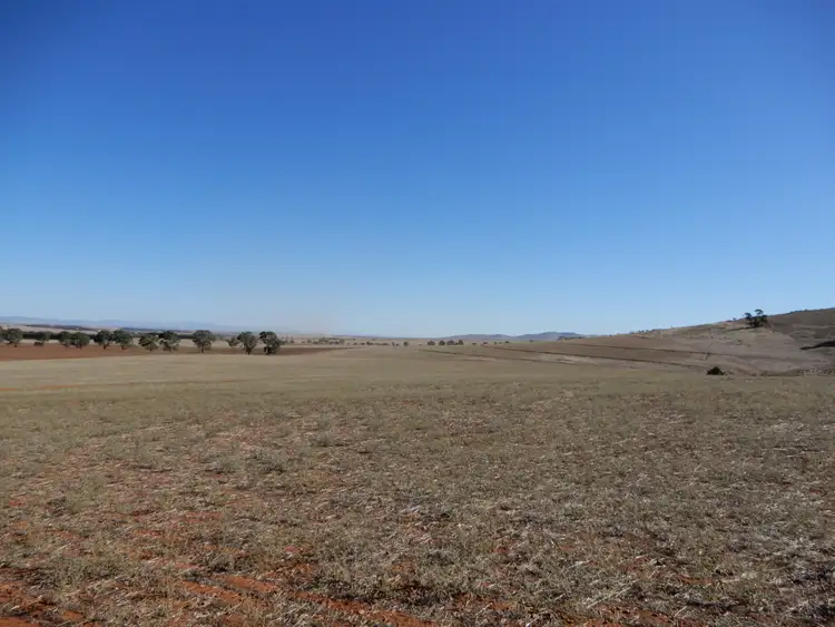 Sixth view of Homely rural property listing, Lot 2 Bouda Hut Road, Tarcowie SA 5431