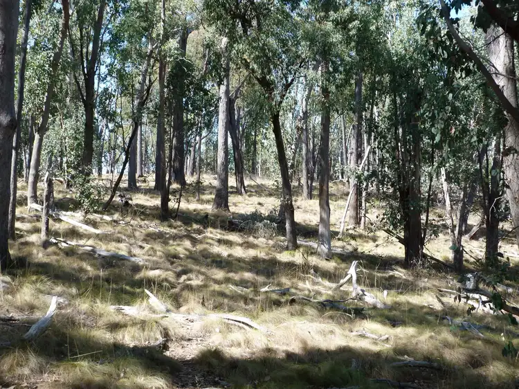 Seventh view of Homely land listing, 2/00 Whites Road, Warrenbayne VIC 3670