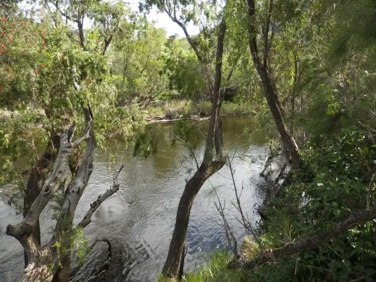 Seventh view of Homely rural property listing, 8/1534 Paddys Flat Rd, Tabulam NSW 2469