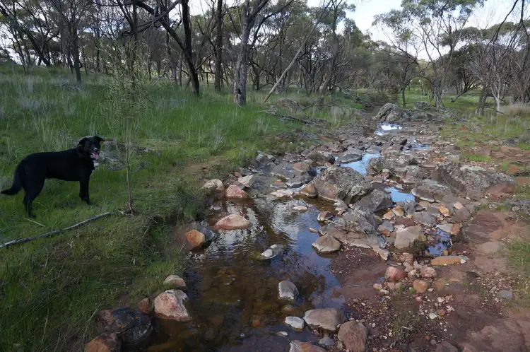 Sixth view of Homely rural property listing, 619 Old Plains Road, Toodyay WA 6566