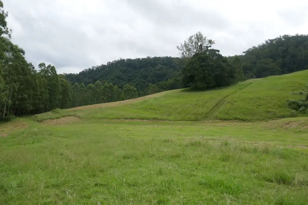 Main view of Homely rural property listing, 117 Lavelles Road, Kyogle NSW 2474