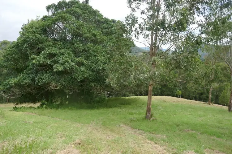Fourth view of Homely rural property listing, 117 Lavelles Road, Kyogle NSW 2474