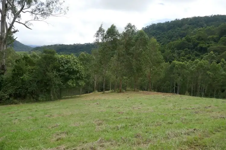 Seventh view of Homely rural property listing, 117 Lavelles Road, Kyogle NSW 2474