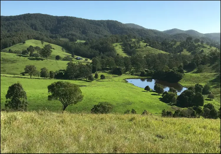 Main view of Homely rural property listing, 2354 Waukivory Rd, Waukivory NSW 2422