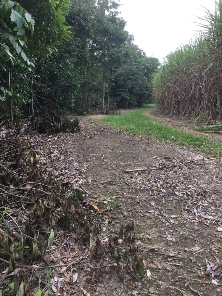 Lot 2 Granadilla Road, El Arish QLD 4855