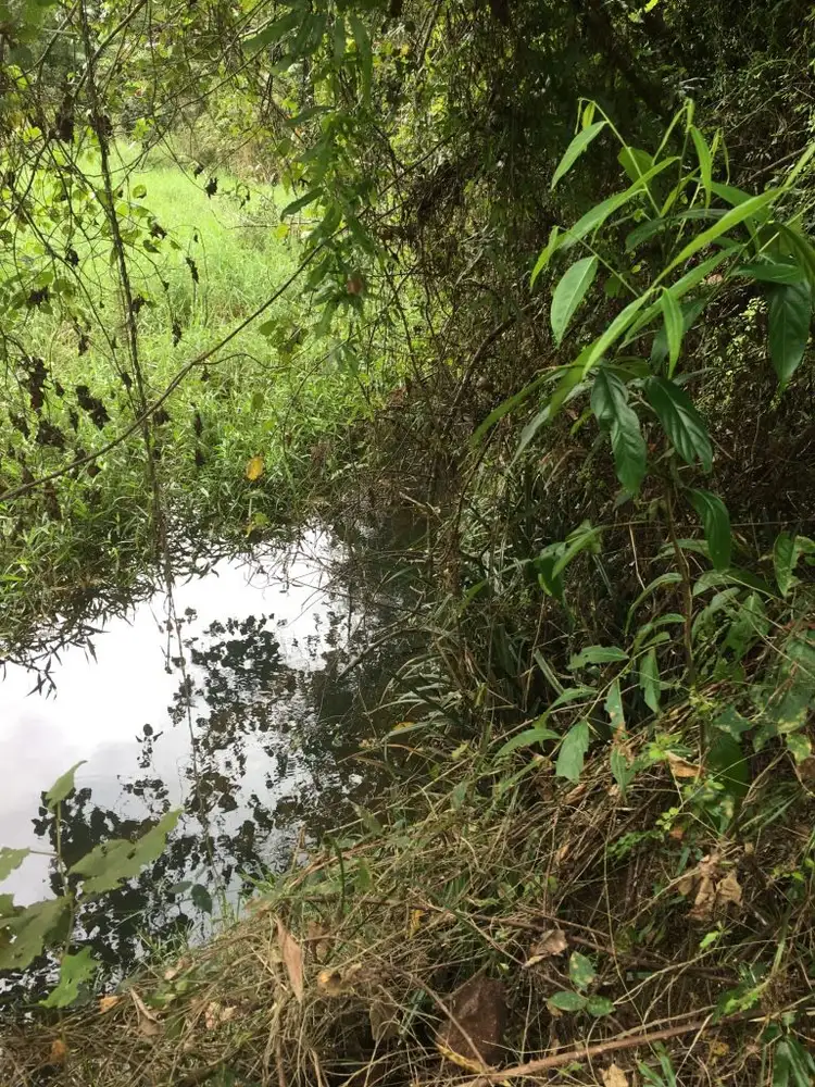Third view of Homely land listing, Lot 2 Granadilla Road, El Arish QLD 4855