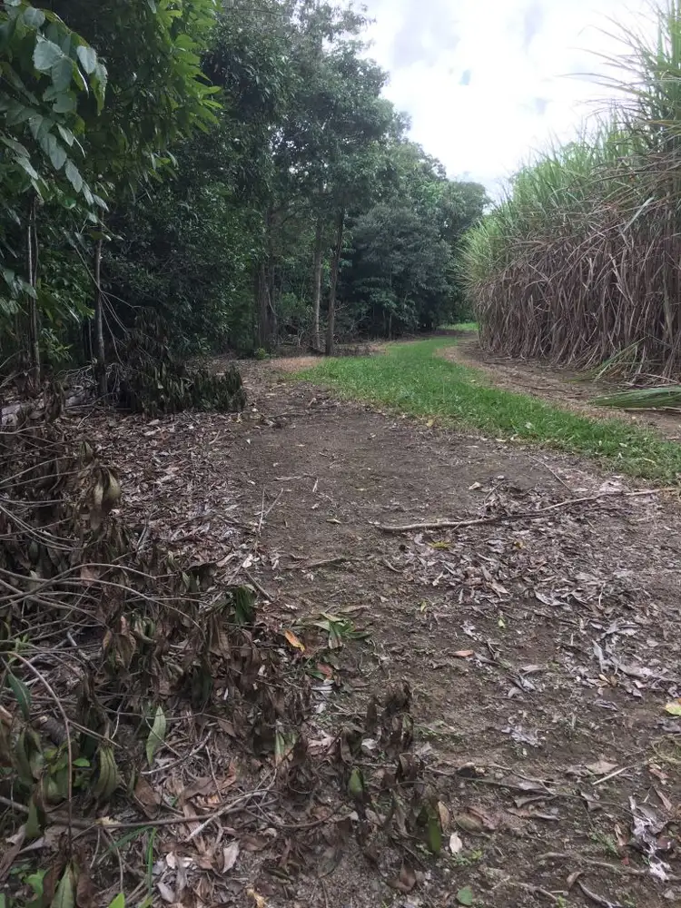 Fifth view of Homely land listing, Lot 2 Granadilla Road, El Arish QLD 4855