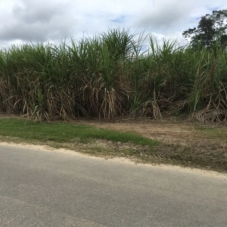 Seventh view of Homely land listing, Lot 2 Granadilla Road, El Arish QLD 4855
