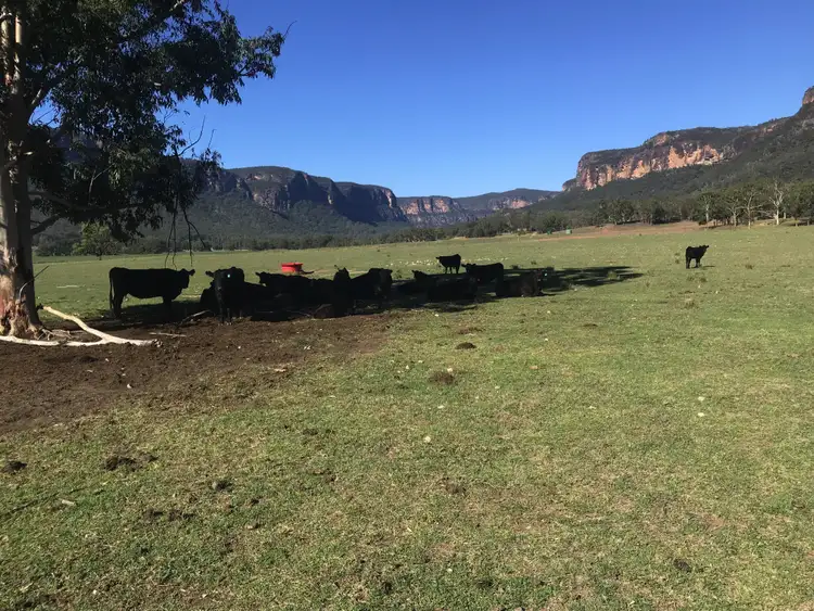 Sixth view of Homely rural property listing, 102 The Gullies Rd, Glen Davis NSW 2846