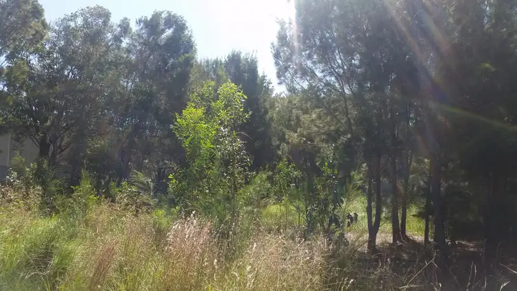 Second view of Homely land listing, 79 Minjerriba Rd, Russell Island QLD 4184