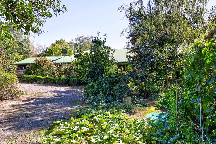 Second view of Homely rural property listing, "Gillyvour" 1151 Indigo Creek Rd, Indigo Valley VIC 3688