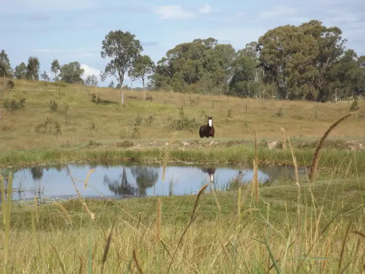 Third view of Homely land listing, 355 Brookers Road, Casino NSW 2470