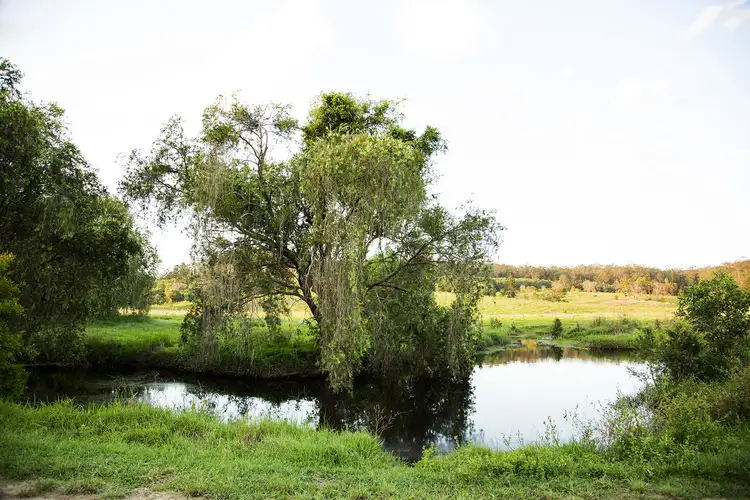 Sixth view of Homely rural property listing, 1/52 Maryborough Biggenden Rd, Thinoomba QLD 4650